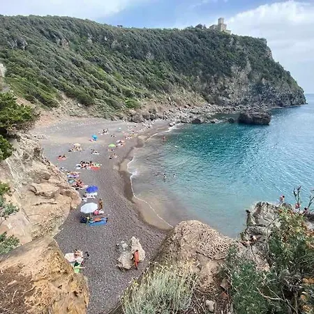 Girasoli Tirrenia